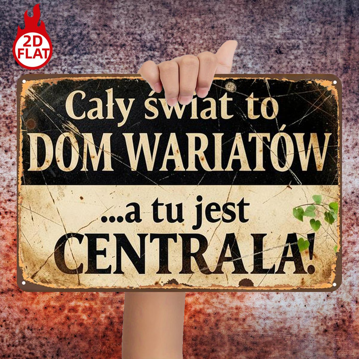 TEMU 2d Flat 1pc, The Is A Madhouse... And The !, Metal Iron Sign, Size(8"x12"/20cm*30cm) Decorative Paintings/room/restaurant/bar/door/garage Decor