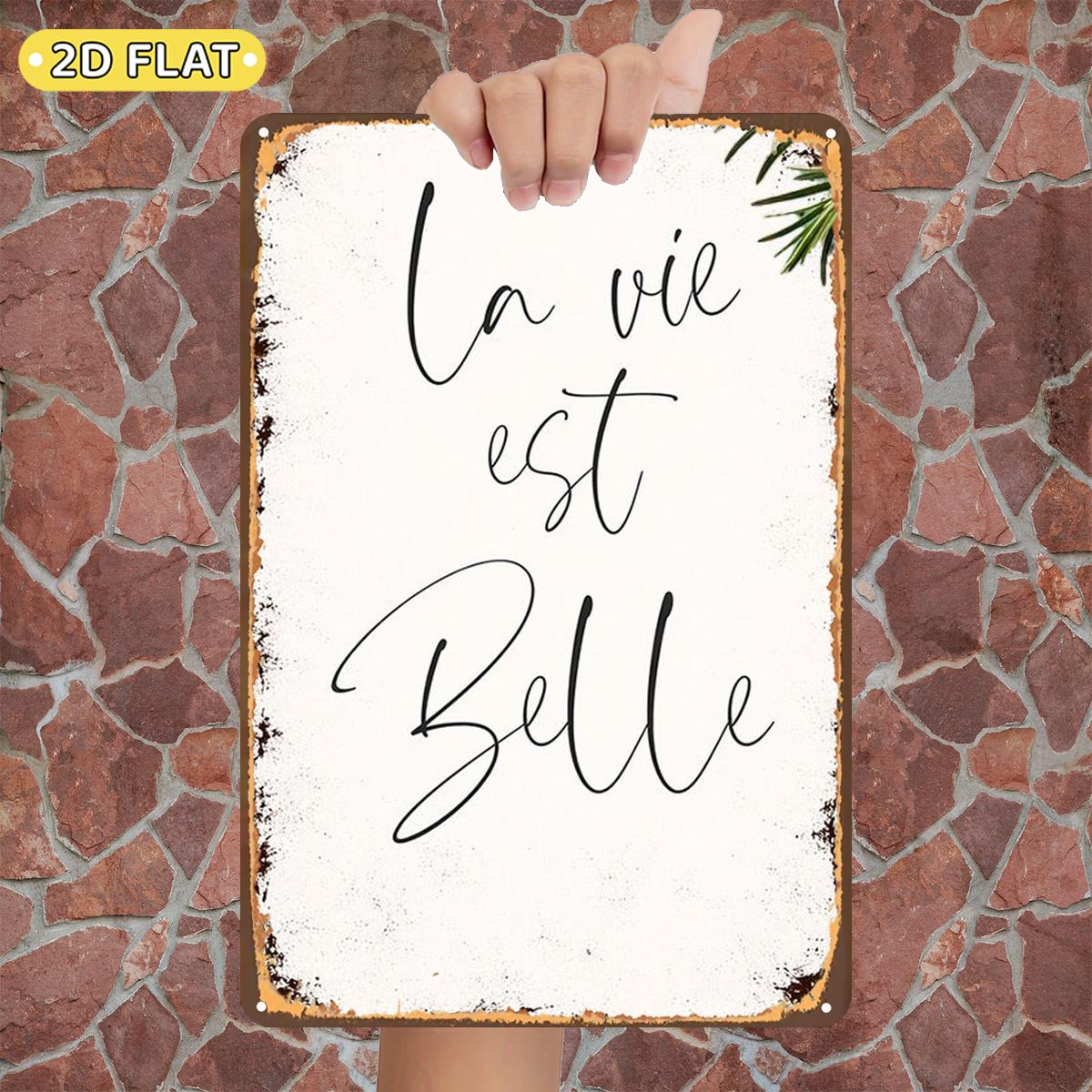 TEMU Plat 2D, Plat 2D 1 pièce, " Est Belle : d'Élégance Française", Panneau en Fer Métallique, taille (8"x12"/20cm*30cm) Peintures