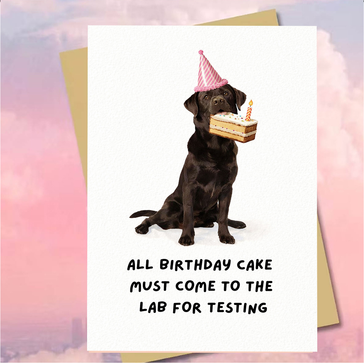 TEMU 1set(an Envelope And A Card) Cute Chocolate Labrador Birthday Card, "all Birthday Cake Must Come To For Testing", Dog With Birthday Cake, Ideal