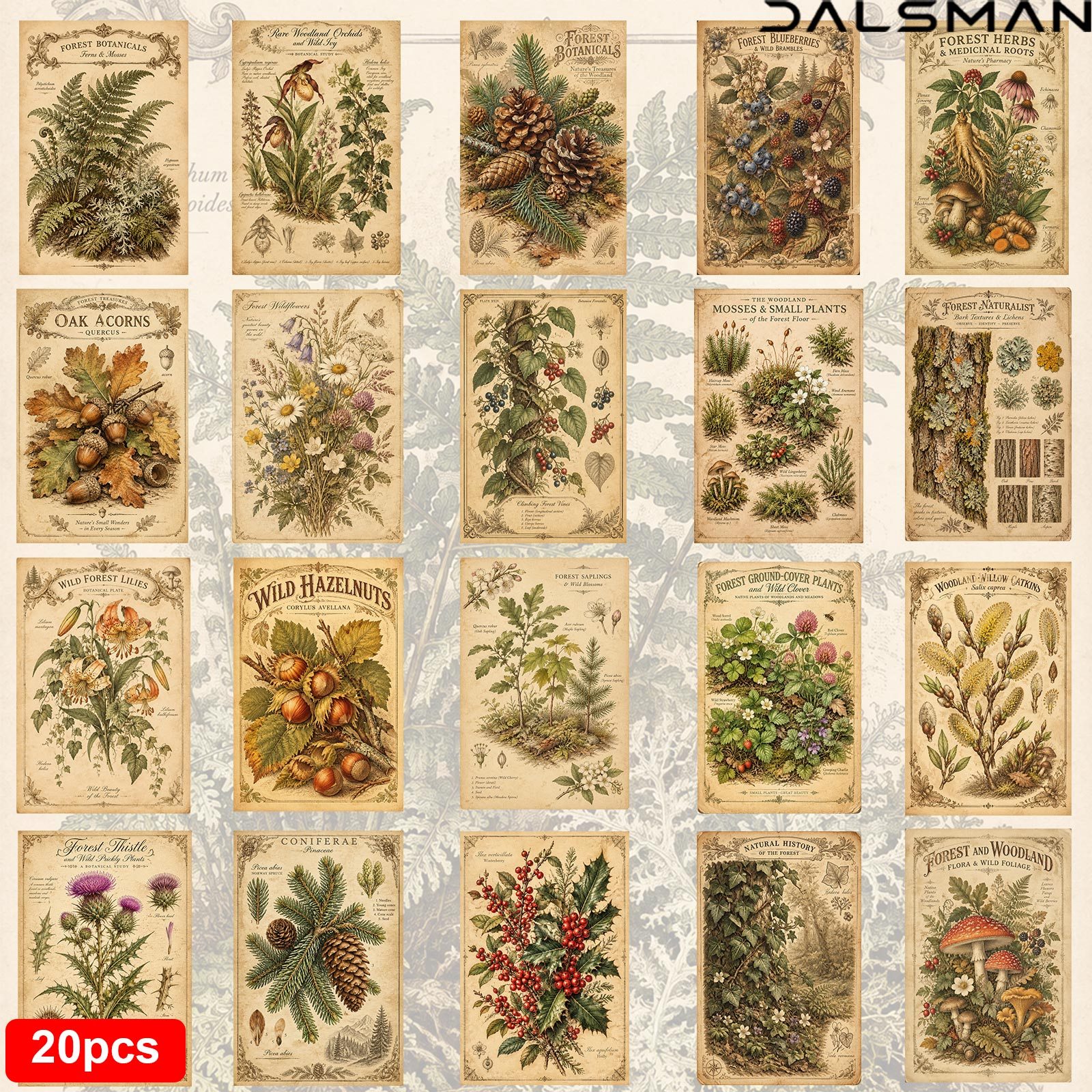 TEMU 20-pack Vintage Botanical Postcards Set Forest Plant Illustration Stationery For Birthday Gift Home Wall Decor Journaling Supplies Dalsman