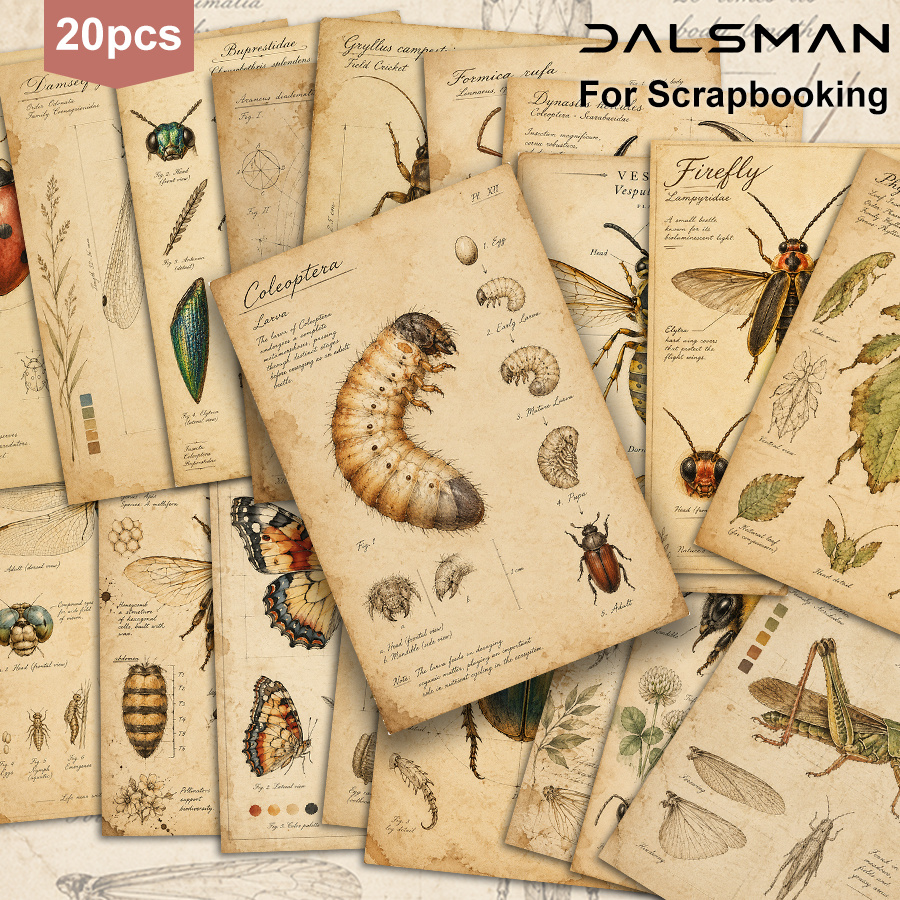 TEMU 20-pack Dalsman Vintage Insect Specimen Postcard Set For Mail And Greeting Cards Collectible Wall Art Decor For Scrapbooking And Journaling
