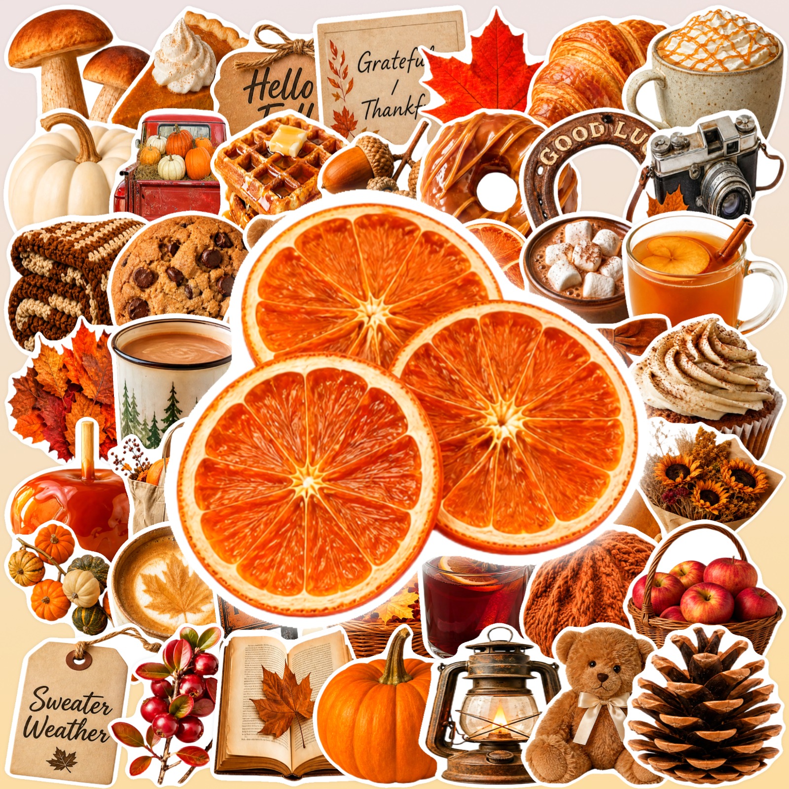 TEMU Get Enough Of Cozy Fall Vibes 50 Pack Autumn Themed Stickers Featuring Pumpkins Sweater Weather Treats Leaves And More For Decorating Laptops