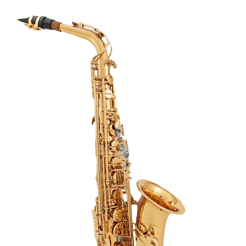 Bullfighter Eb Alto Saxophone, Double Rib Key, Brass Engraved Body, for Beginners, Students, Adults, Grade Examination & Professional Performance, Saxophone Instrument Set