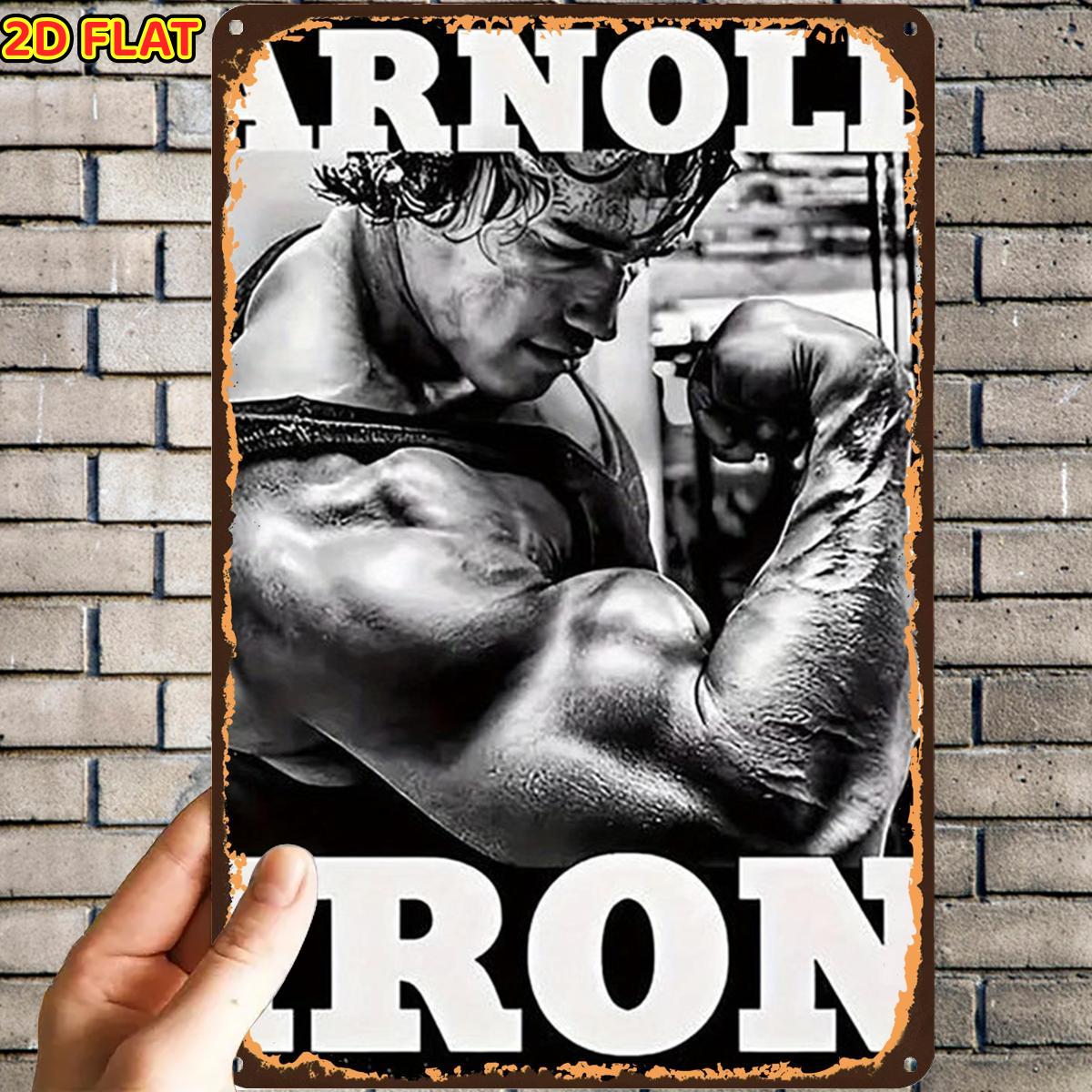 TEMU 2d Flat, 2d Flat,1pc, Iron Muscle Postermetal Tin Sign, Pre-drilled Holes, Suitable For Indoor, Garden,outdoor, Home, Office, Toilet Decoration,