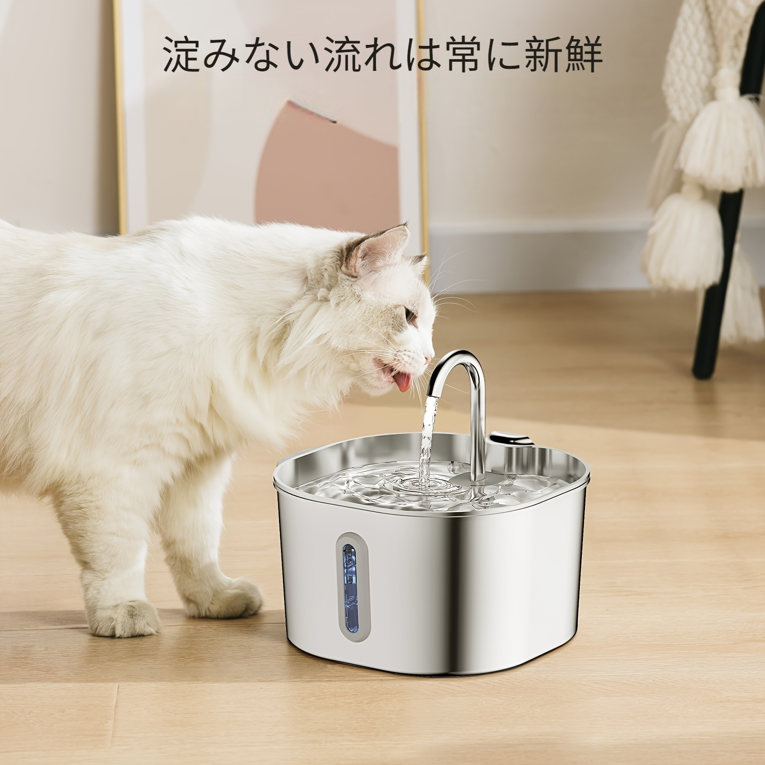 ボウル・給餌器 - Temu Japan
