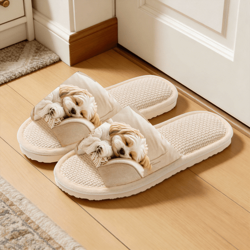 1 paire de chaussons sur le thème de , chaussons tendance et respirants, chaussons dintérieur confortables et décontractés , chaussons dété pour femme et homme intérieur extérieur, cadeau idéal pour toutes , 2d plat, chaussures pour femme