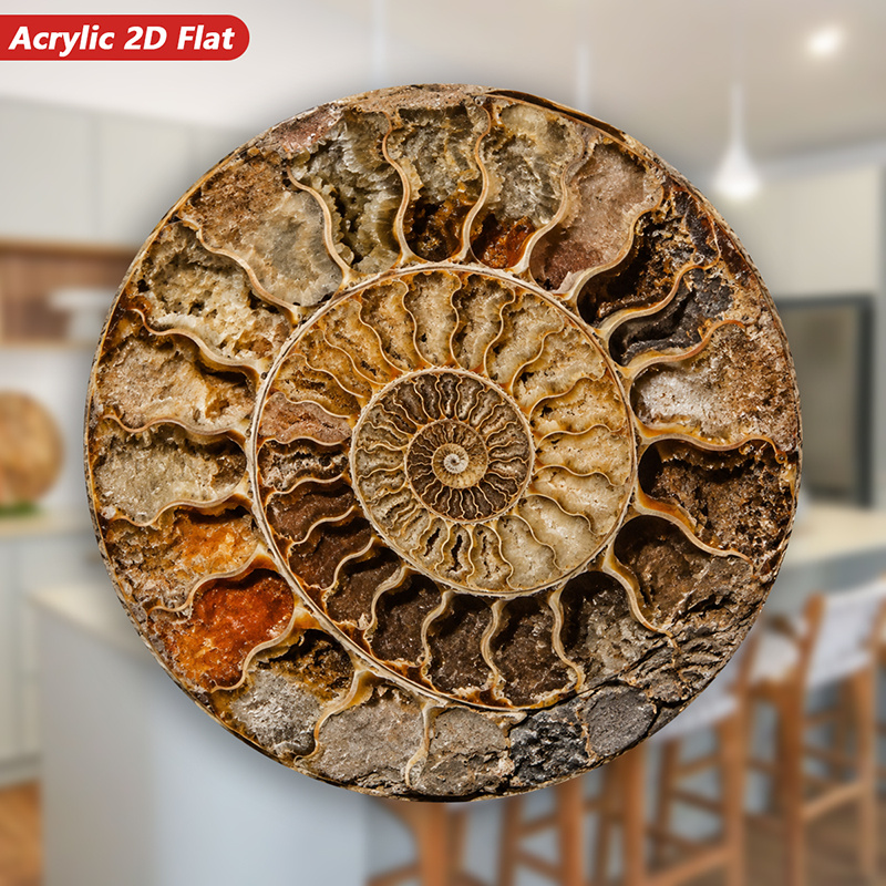 1pc natural     spiral shell chamber and   cross section suitable for home cabinet refrigerator dishwasher decoration earth   stone magnet with natural   texture acrylic material suitable for chalkboard