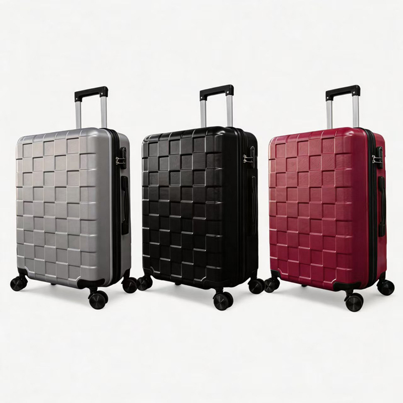 Gym Equipment 24-Inch Luggage with Spinner Wheels