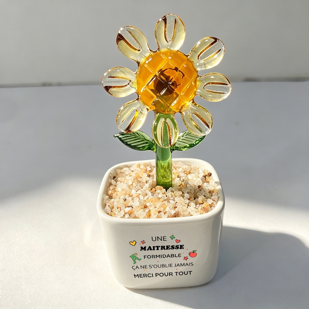 TEMU Plante en Pot avec "Une Formidable", Joli Ornement de Bureau, Cadeau de pour Enseignante, Fournitures de Bureau pour Femme, Décoration de Bureau