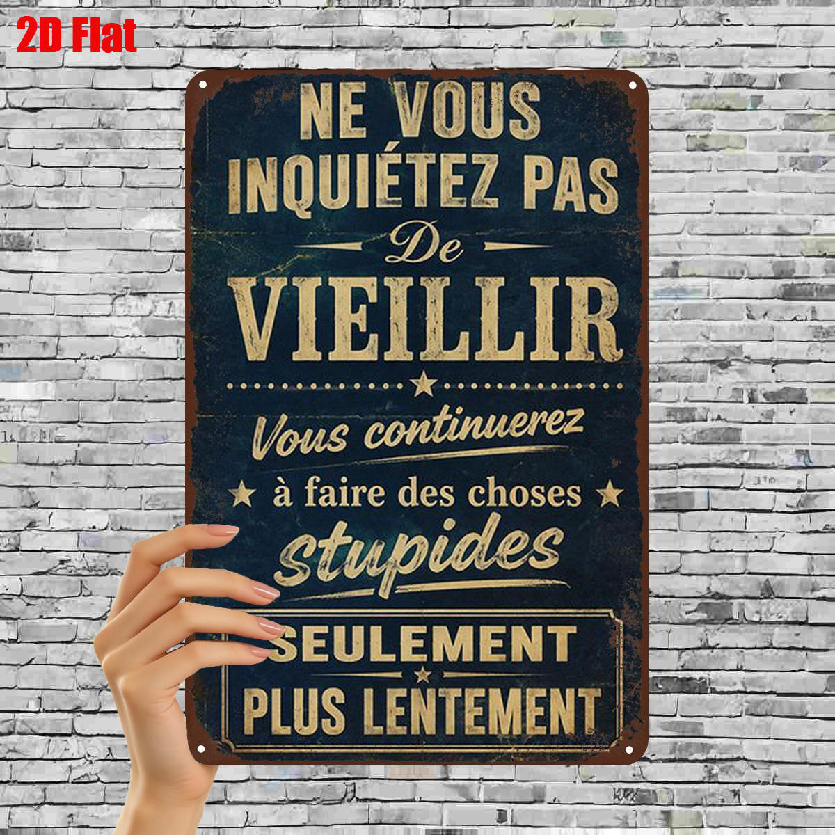 TEMU 2D Plat 1pc, "Panneau d'Art en Métal Vintage : 'Ne t'inquiète pas de vieillir, tu des choses stupides plus ' - Décor Rustique de Française" 8 X