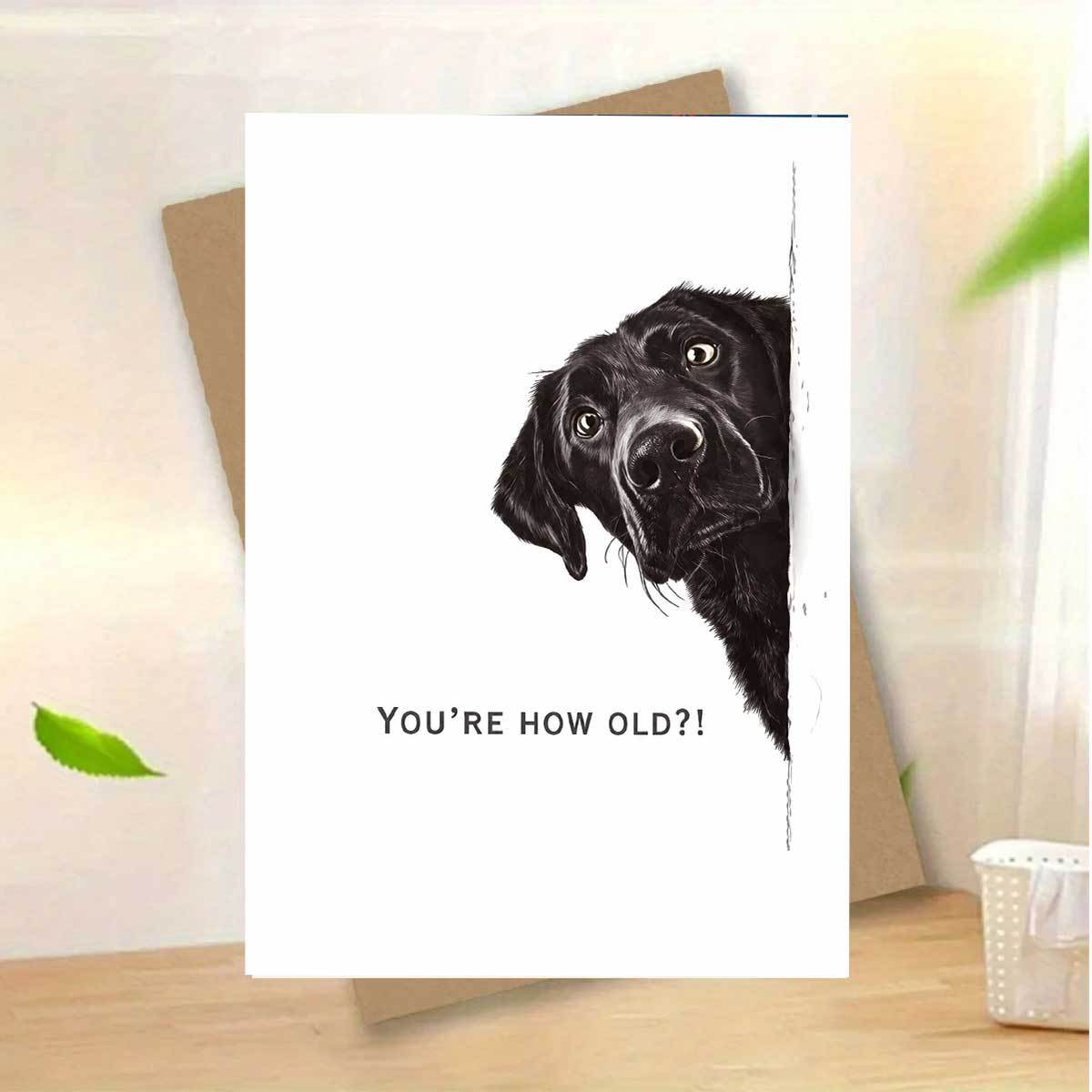 TEMU 1 carte de vœux idéale à offrir (Chiot Labrador noir qui par ) (Anniversaire), papier robuste et durable, couleurs imprimées vibrantes. "Tu as