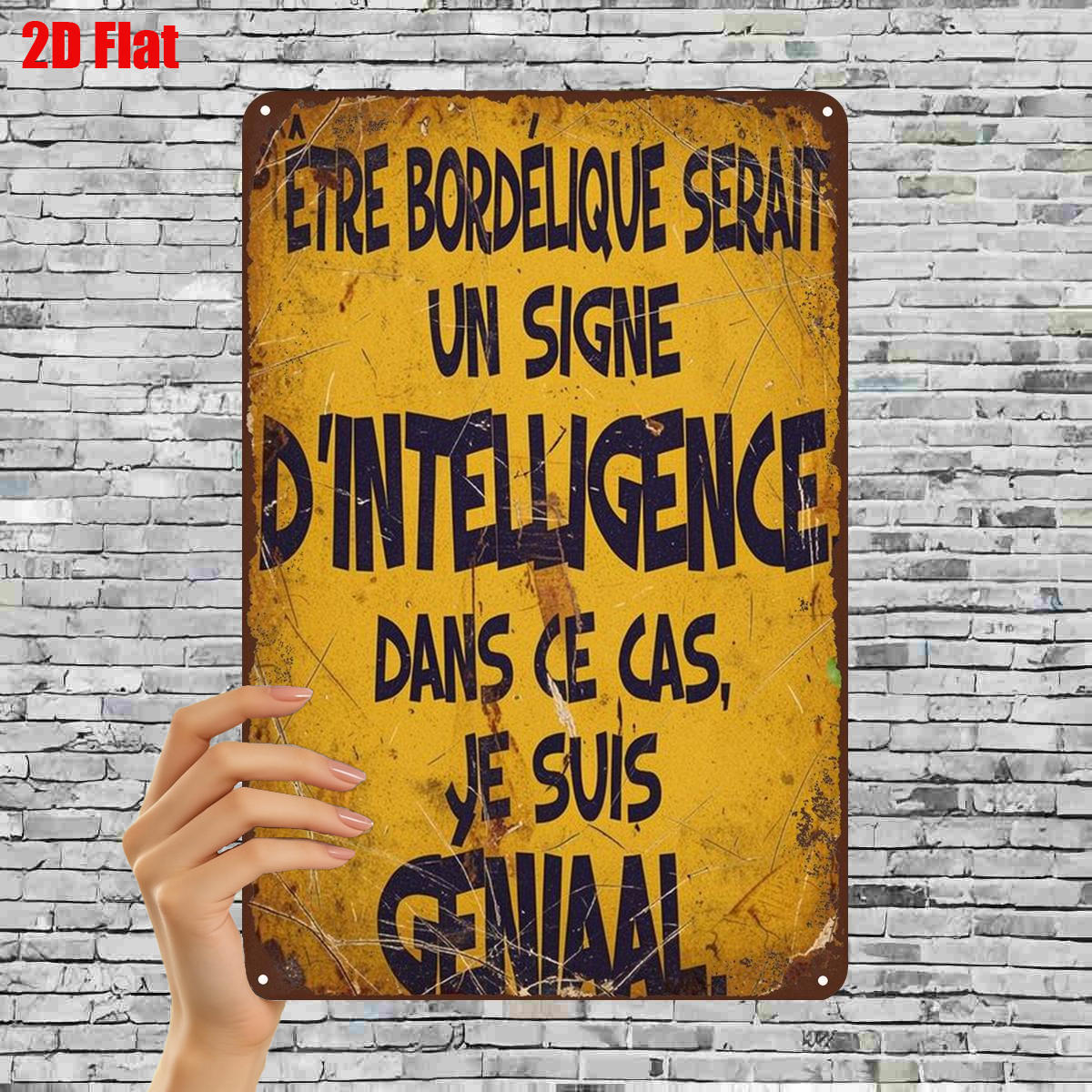 TEMU Plat 2D, 1 pièce, "Art de panneau métallique français vintage : 'Être désordonné est un d'intelligence, dans cas, un ' – Décoration murale