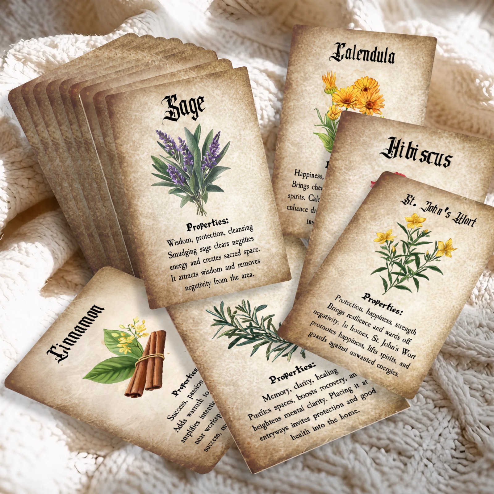 TEMU 36pcs Vintage Botanical Postcards Suitable For Themed Retro Cards With Illustrations & English Language - Collection For Desk Decoration,