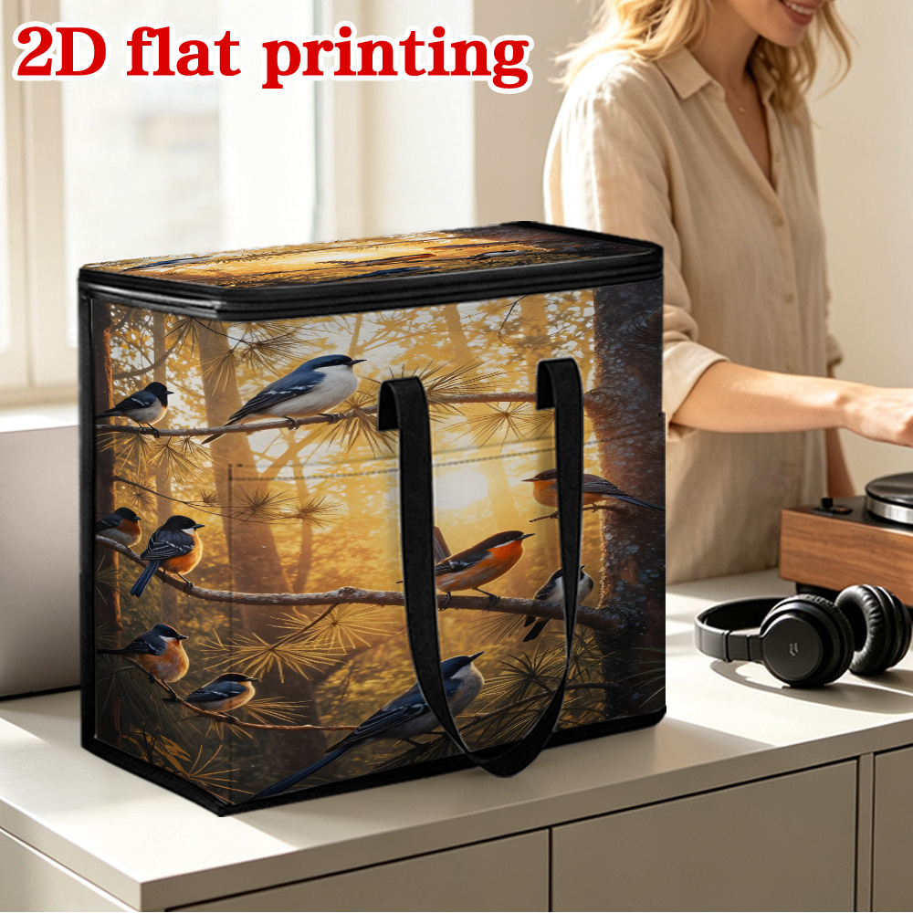 Foldable Portable CD/DVD Case with Vinyl Record Storage Box