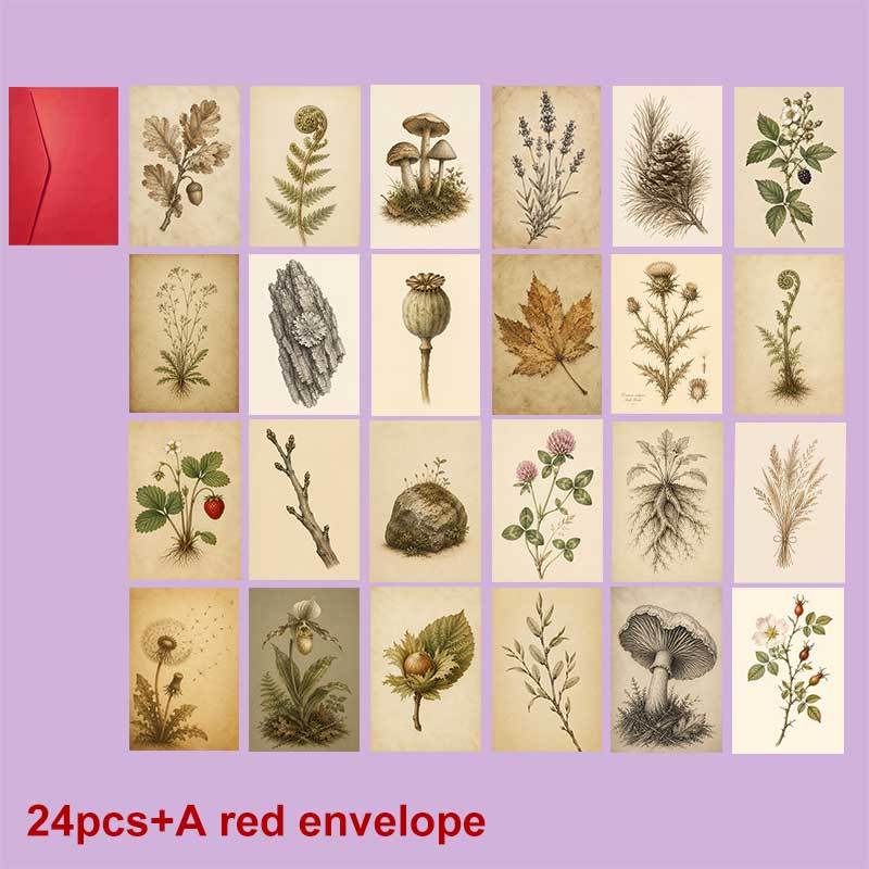 TEMU 24-pack And A Red Envelope Vintage Botanical Autumn Postcard Set Featuring Forest Plants And Wild Flowers Nature Greeting Cards For Thanksgiving