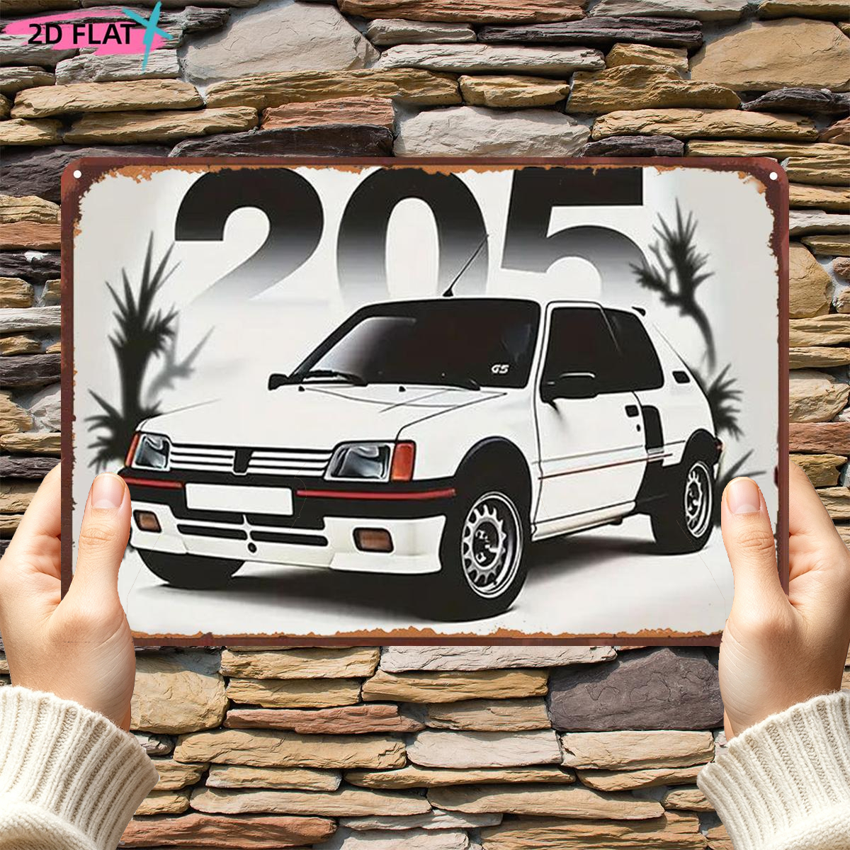 TEMU Plat 2D, Plat 2D 1 pièce, "205 : du rallye en blanc", Panneau en fer métallique, taille (8"x12"/20cm*30cm) Peintures décoratives/Décoration de