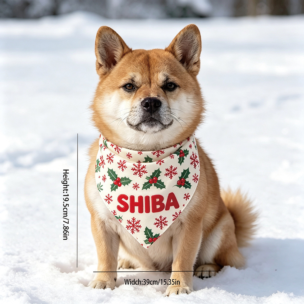 Custom Pet Name Bib with Adjustable Neckband