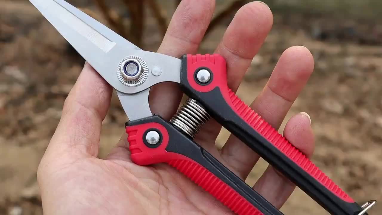 Garden Pruning Shears Branch Scissors Stainless Steel Fruit - Temu