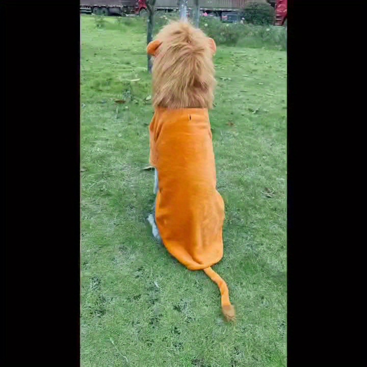 Lion king outlet dog costume