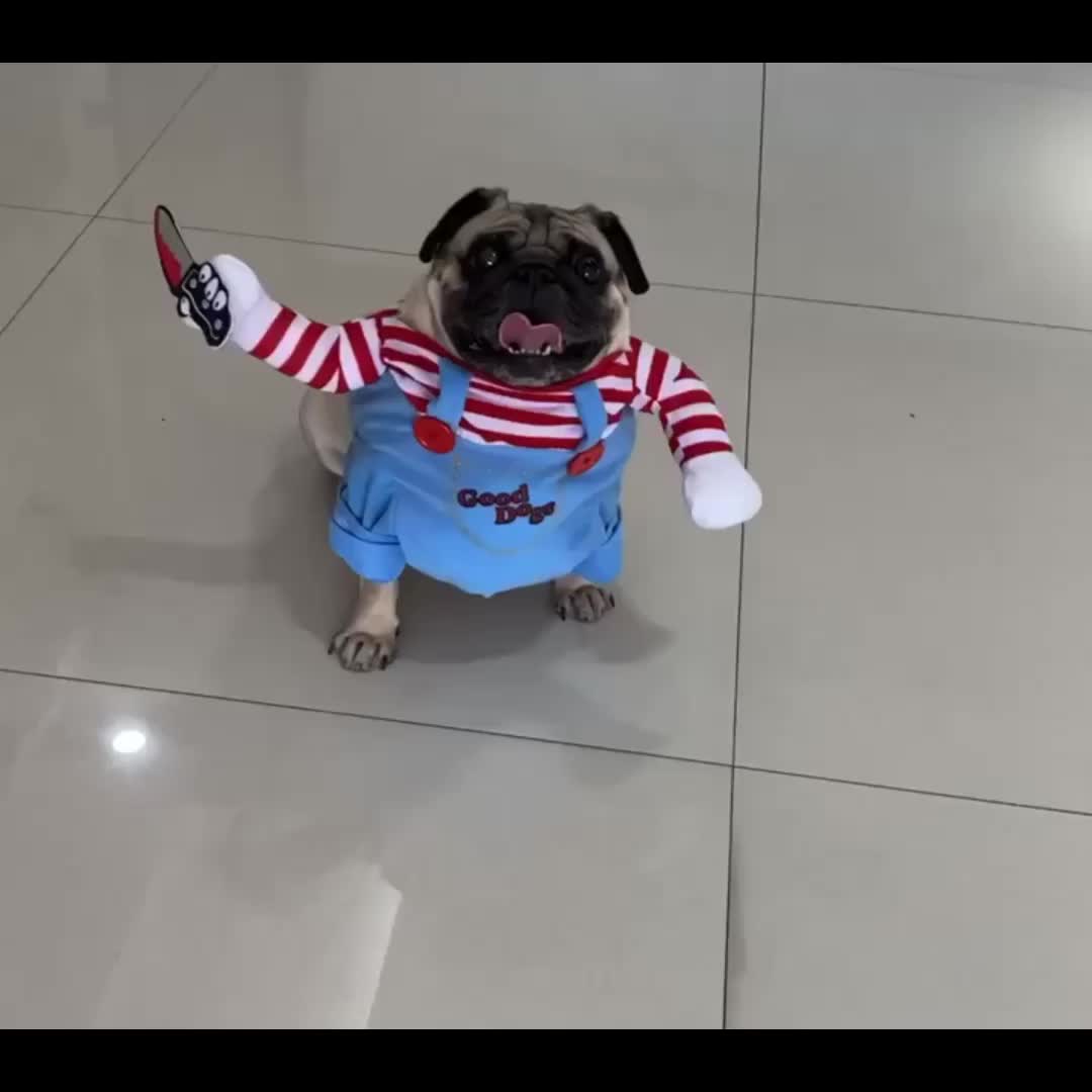 Kids Pug Costume 