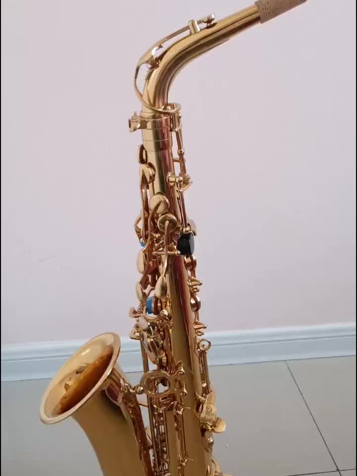 Sax Saar Ramble E flat Alto Saxophone For - Temu