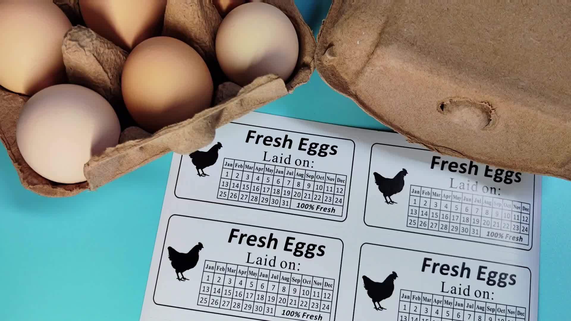 Fresh Eggs Stickers, Egg Carton Sticker, Custom Farm Eggs Label To Mark  Your Eggs Birth Date - Temu Mexico