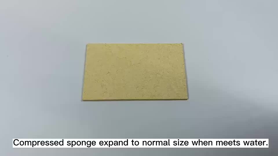 Compressed Sponge