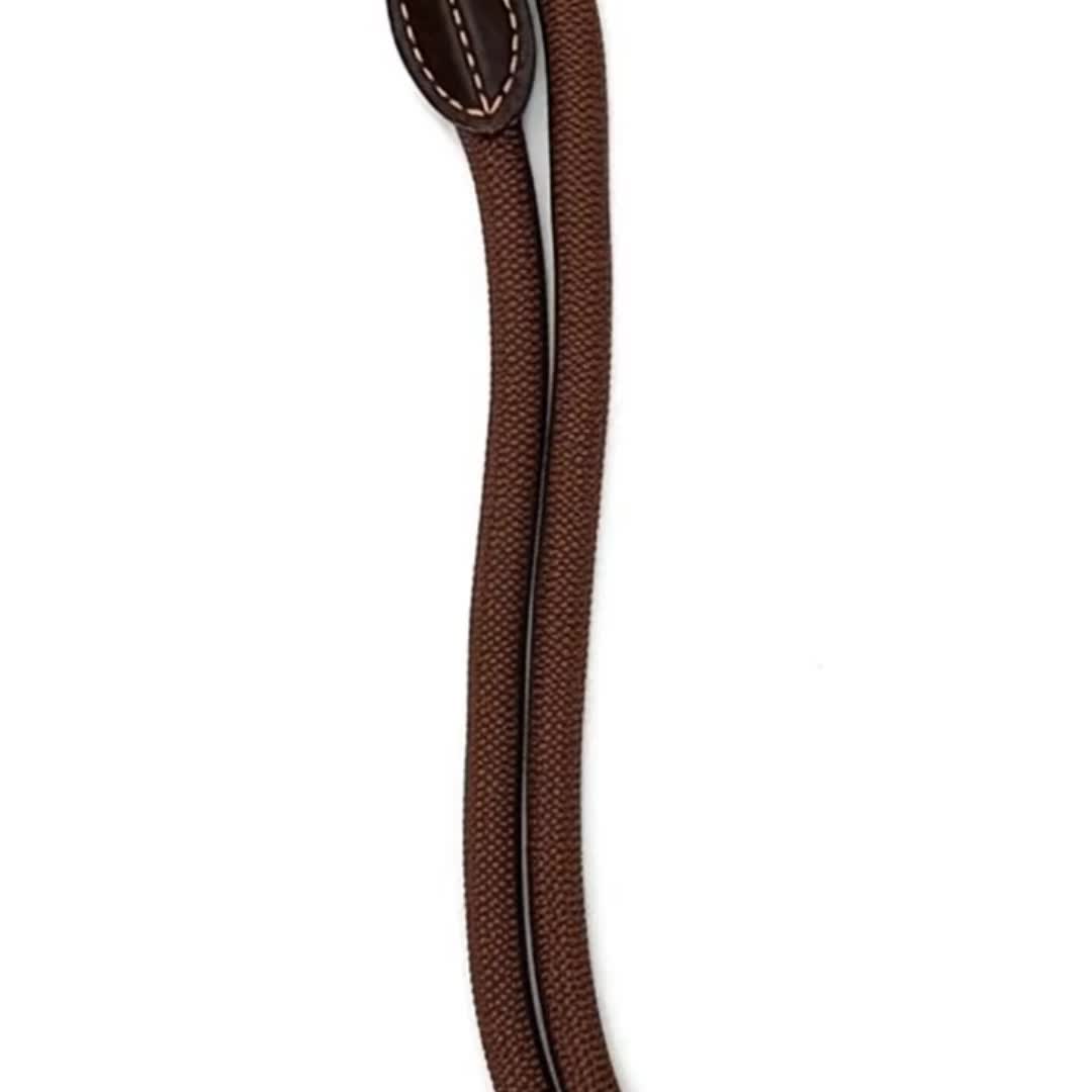 Durable Nylon Hands-Free Dog Leash with Adjustable Waist Buckle