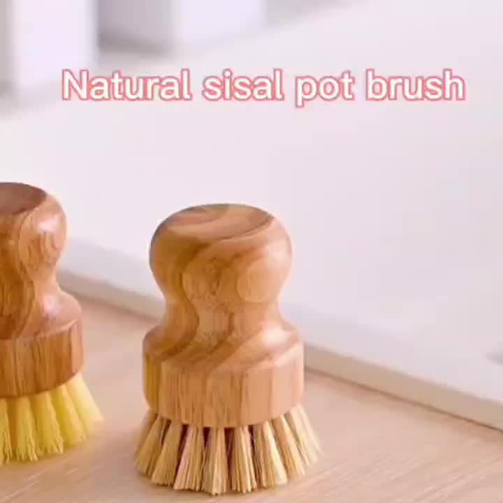 Natural Palm Cleaning Brush Dishwashing Brush Pot - Temu