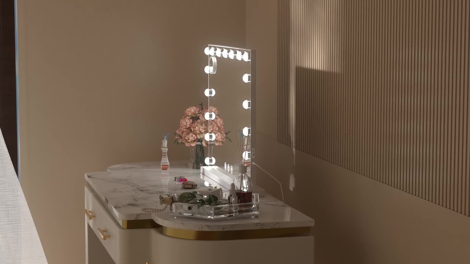 Vanity LED Mirror with Lights and 10X Magnification