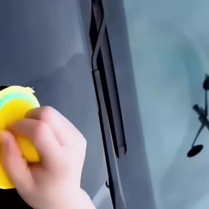 Car Paint Maintenance Wax, 100g