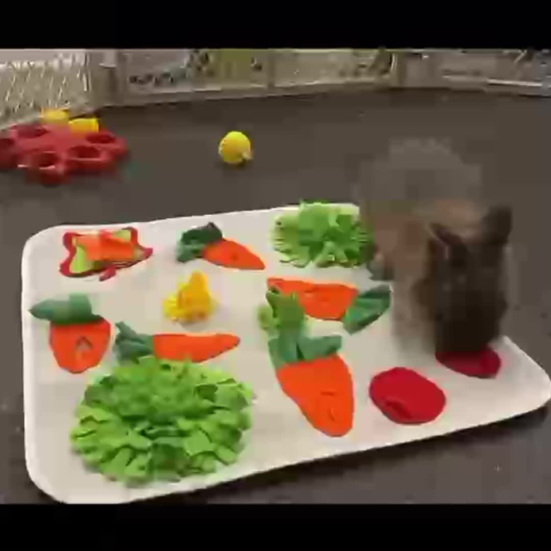 Interactive Foraging Fun: Rabbit Sniffing Pad Puzzle Toy Feeding Mat - Temu