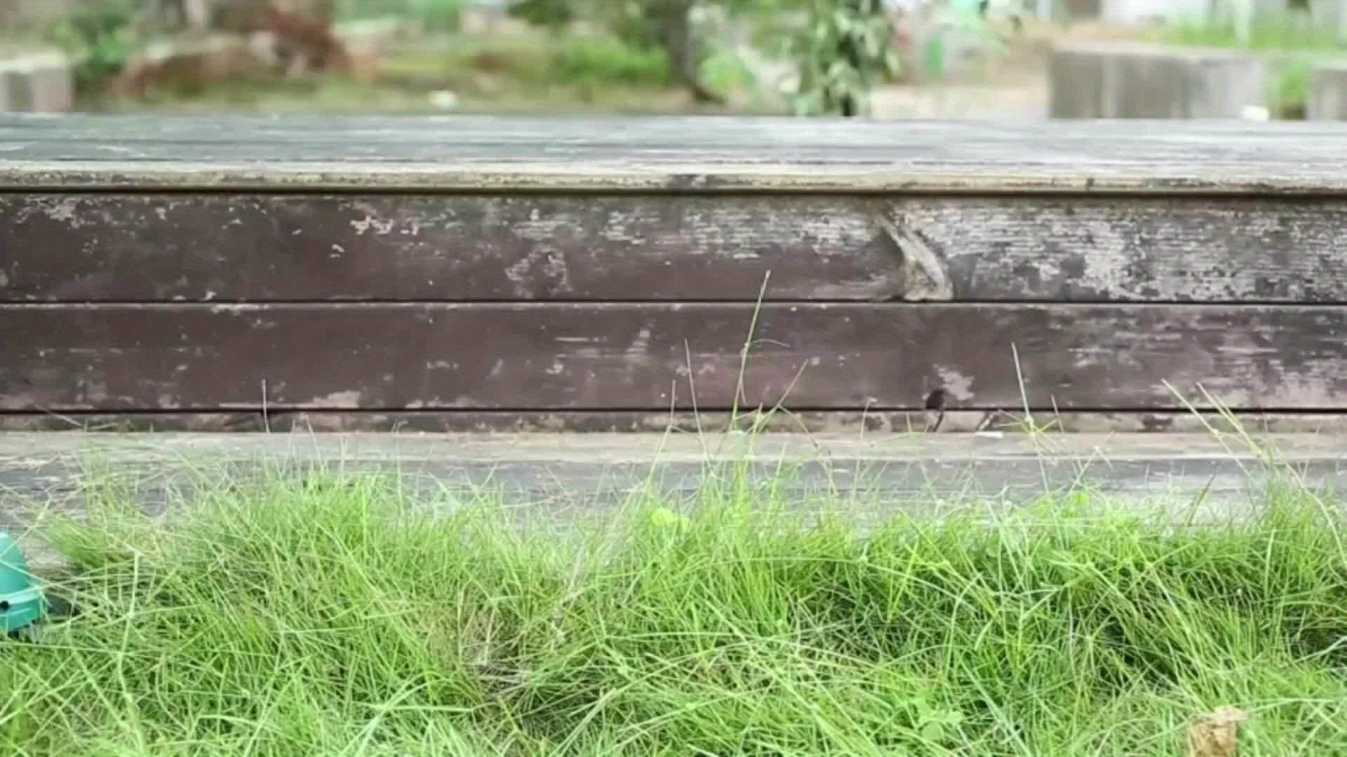 2-in-1 Haagknipper, 7.2V 2000mAh, Haagknipper met Telescopische Handgreep,