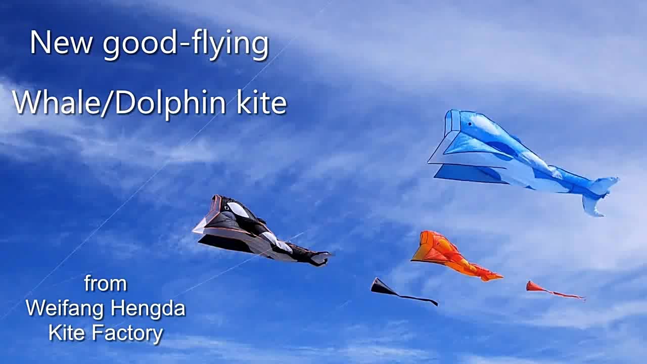 Awesome Large 3D Big Whale Kite