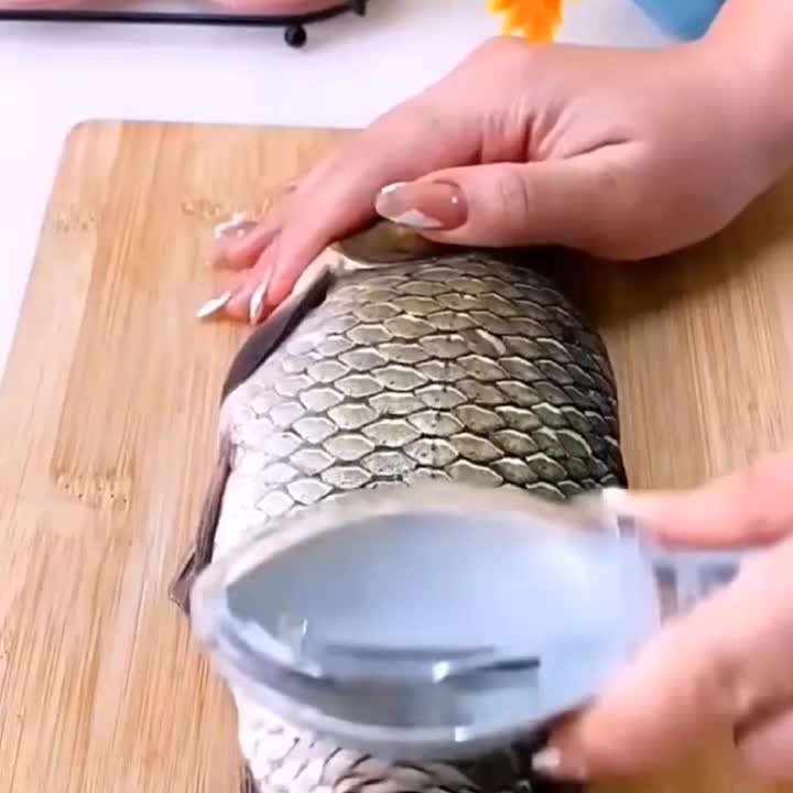1 pièce écailleur à poisson brosse à peau brosse de pêche nettoyage rapide  couteau à poisson nettoyage éplucheur écailleur grattoir - Temu France
