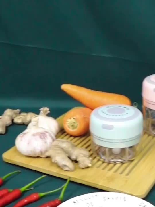 Mini Mixer Blender Hachoir Electrique Petit Mixeur Presse Ail Hachoir  Hâchoir Légumes Coupe Oignon Ail, Multi-Hachoir pour Viande, Légumes 