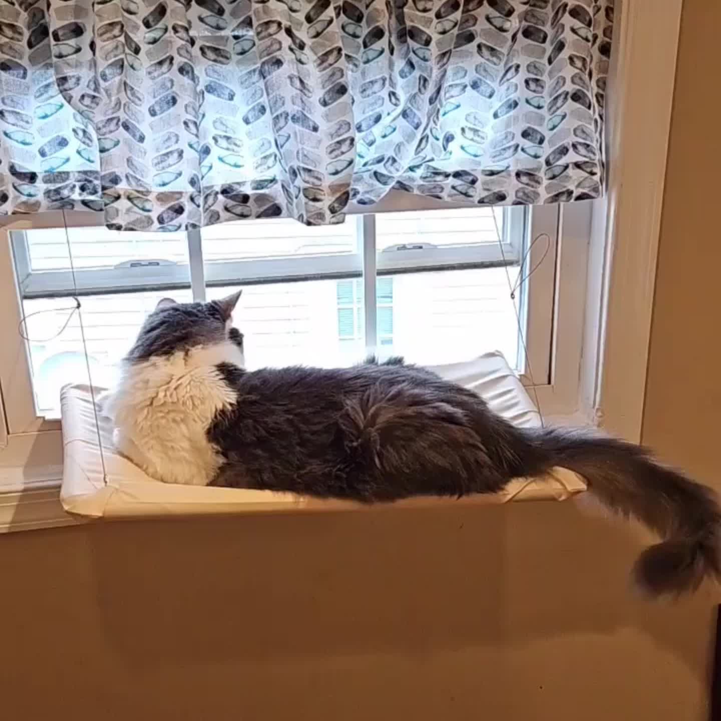 Cat Window Perch Hammock Seat Bed