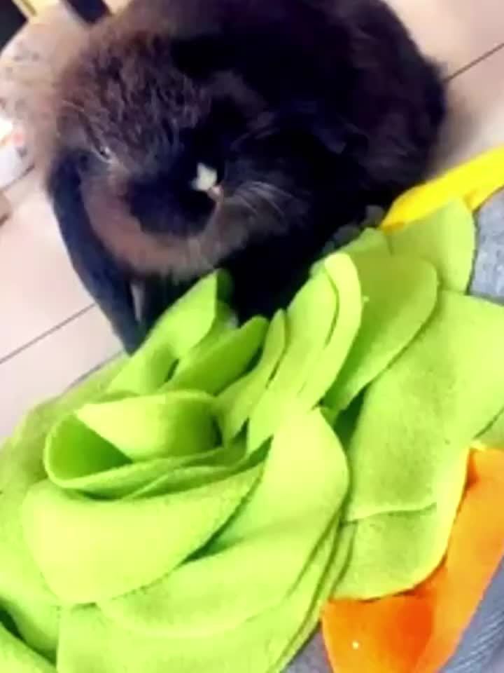 Rabbit Snuffle Mat for Small Pets