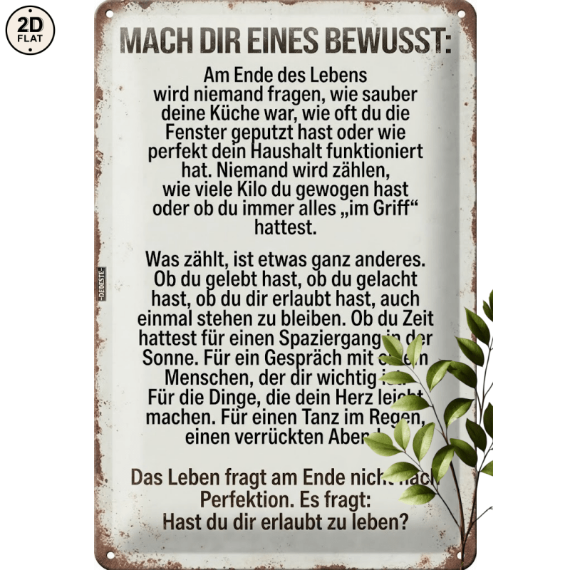 TEMU 2D Flat - 1 Stück Metallschild. Lebensprioritäten Inspirierendes Zitat für Zuhause, Büro, Bar, Außendekoration 20X30CM 2D FLAT