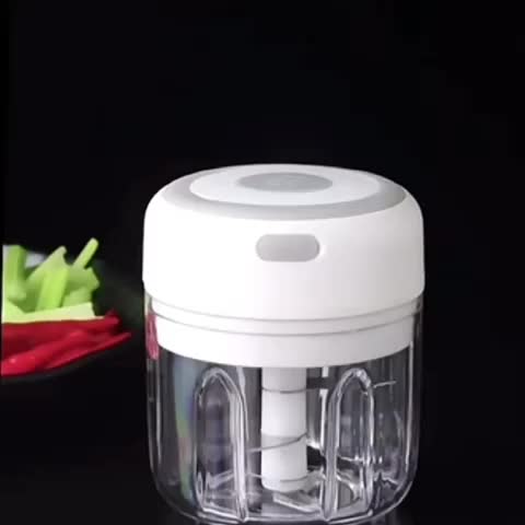 Electric Garlic Chopper, Tulevik 250ML Mini Portable Veggie Chopper, USB  Rechargeable Garlic Grinder With Spoons and Brushes, Wireless Small Food