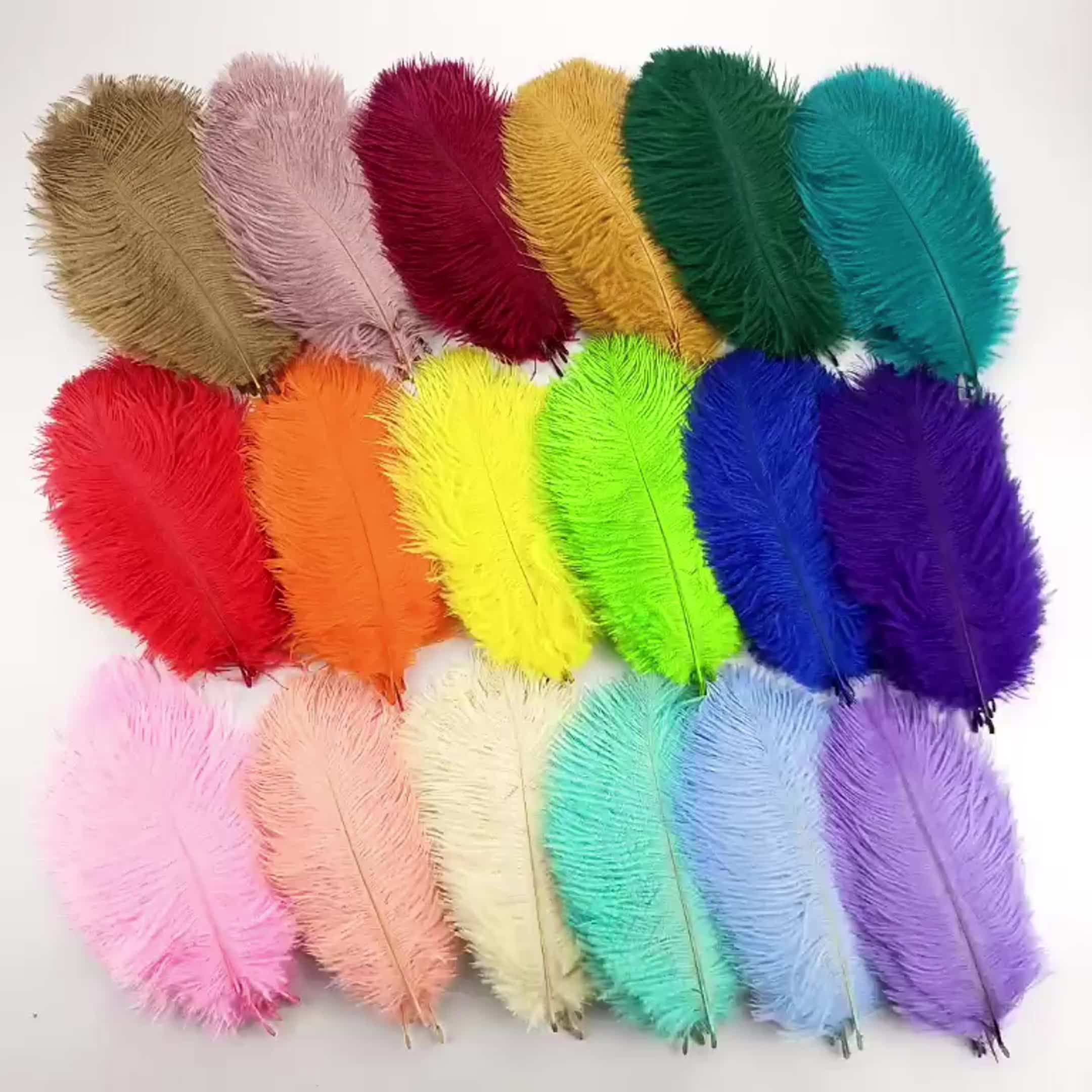 Vari colori di piume di struzzo superiori 15-80 cm
