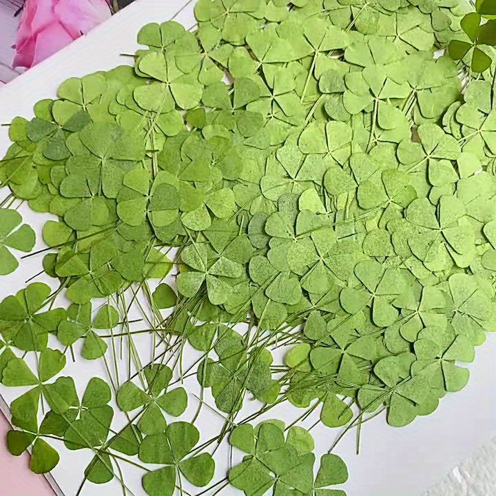 Dried Lucky Grass Embossed Four leaf Clover Glue Phone Case - Temu Germany