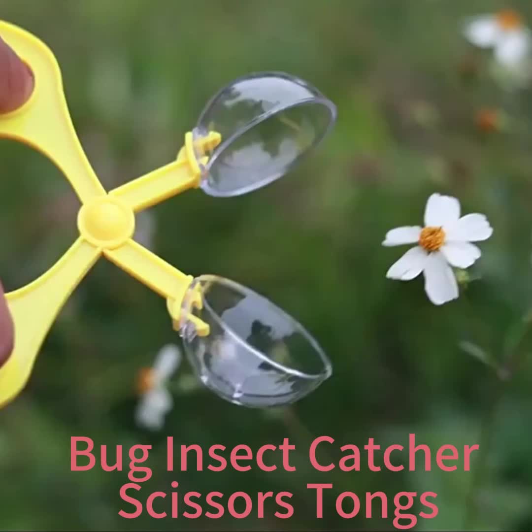 Bug Insect Catcher Scissors Tongs Tweezers Scooper Clamp - Temu