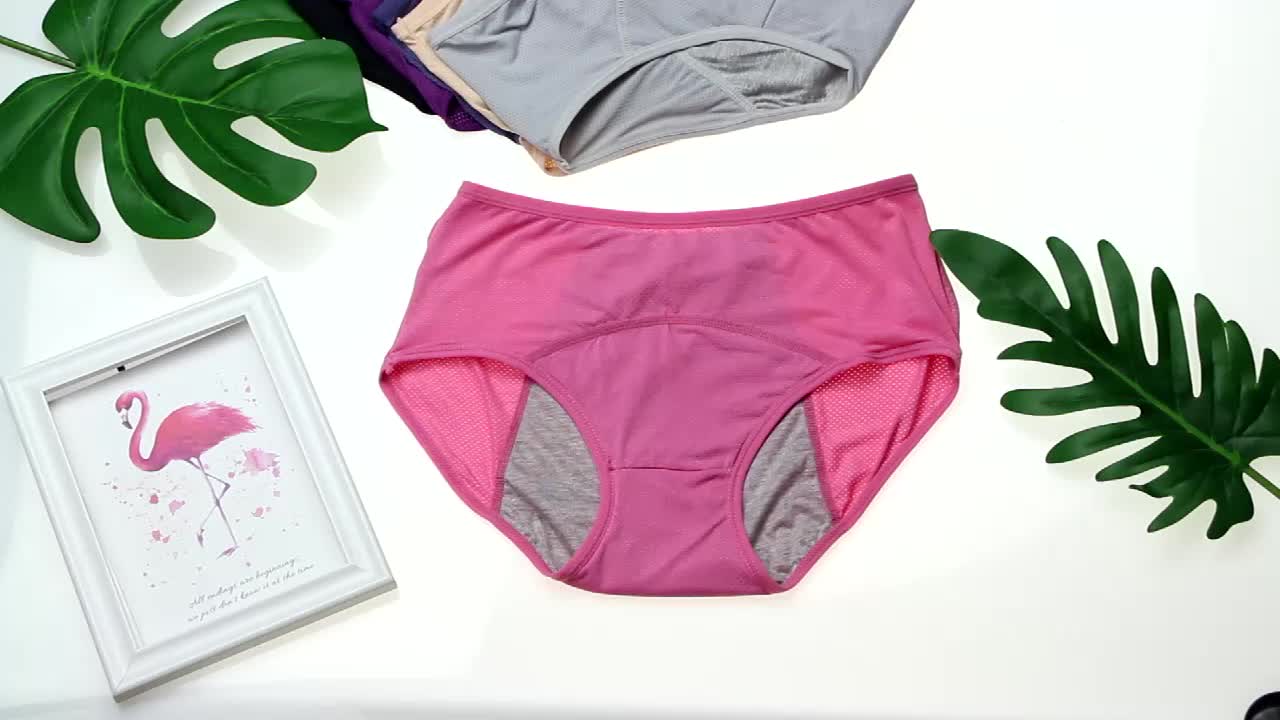 Mesh Elastic Period Panties Comfy Breathable Leak Proof - Temu