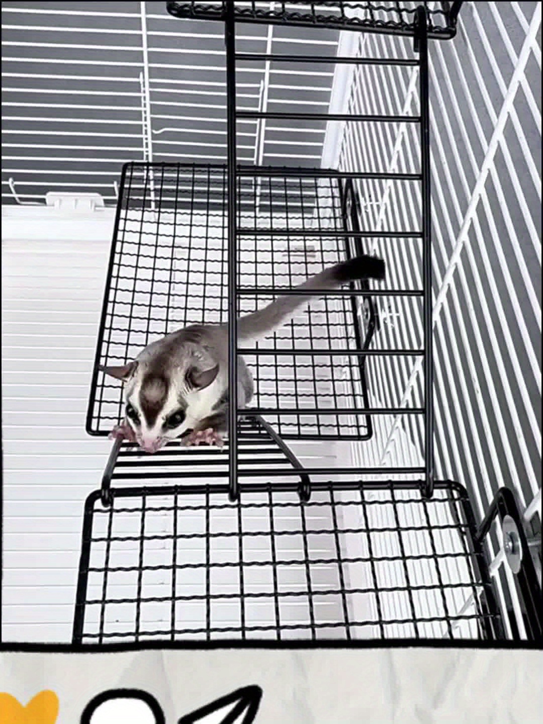 3pcs Stainless Steel Two-Layer Hamster Resting Platform Set