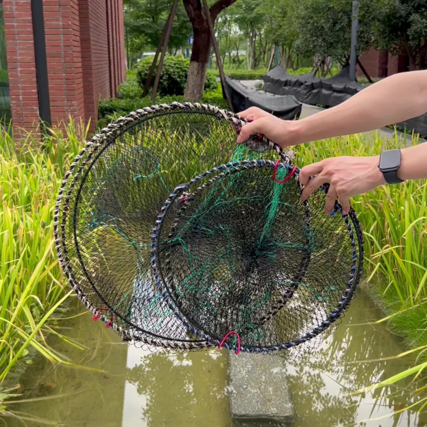 Foldable Fishing Net: Portable Trap Shrimp Lobster Crab Eel - Temu
