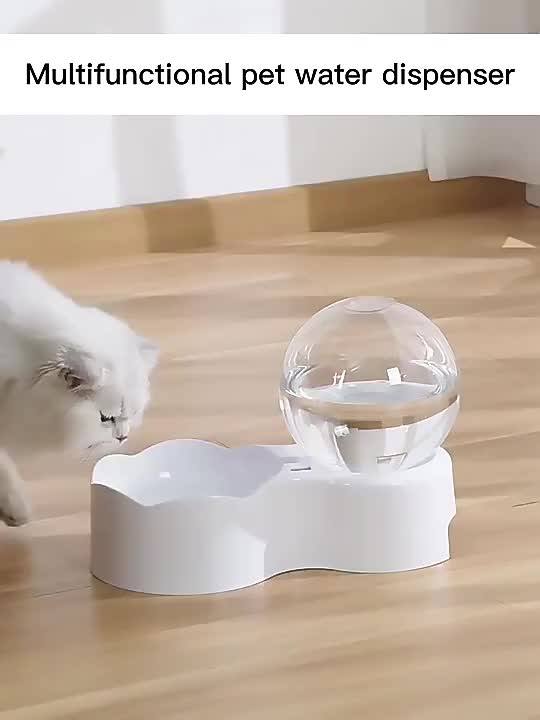 Bubbling cat hot sale water dispenser