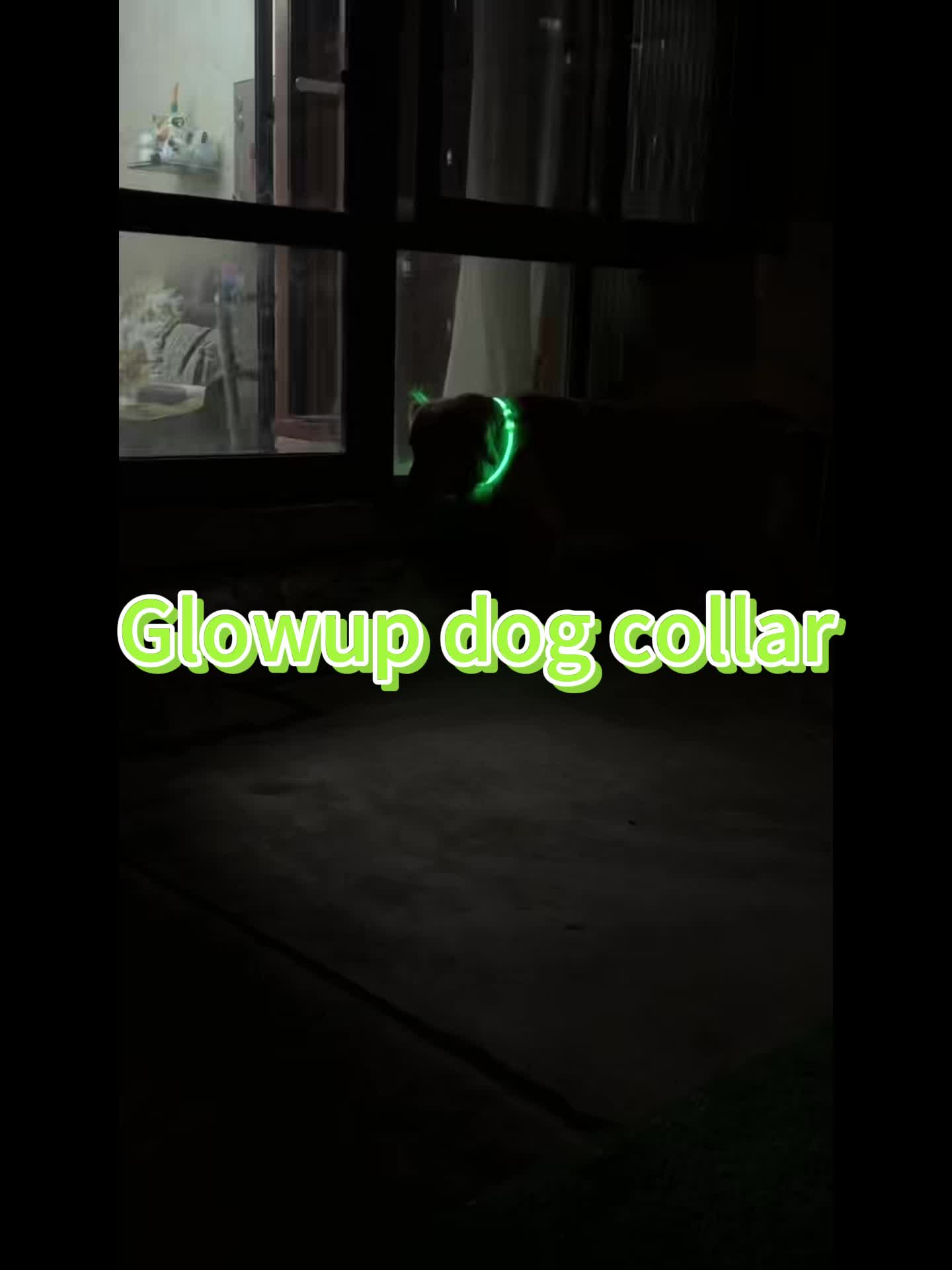 USB Rechargeable LED Dog Collar for Pet Safety
