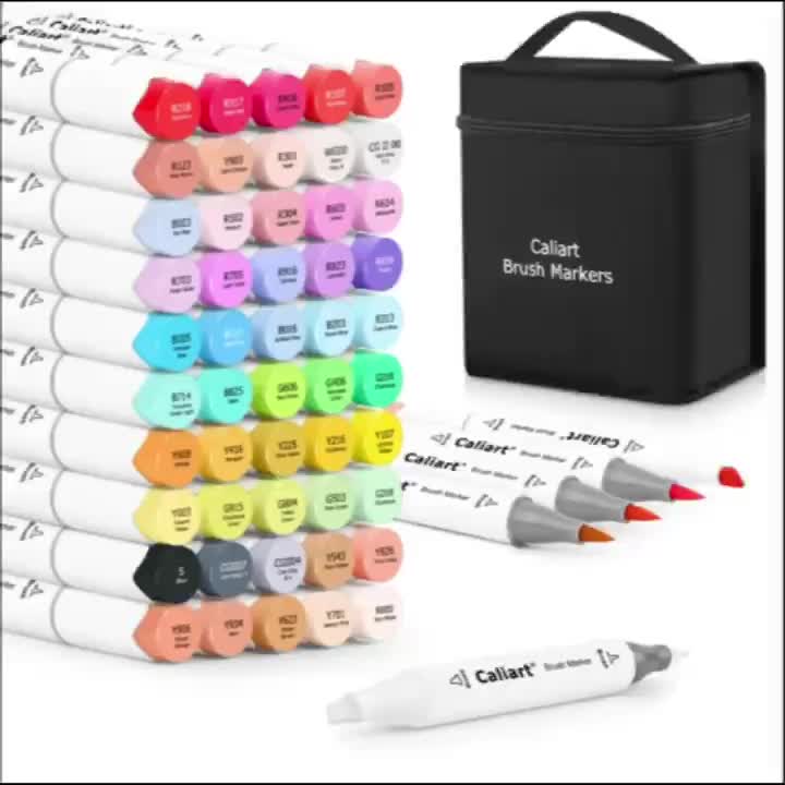 Deli 60 Colors Dual Tip Alcohol Markers, Art Markers Set Art Supplies Permanent Marker with Storage Box