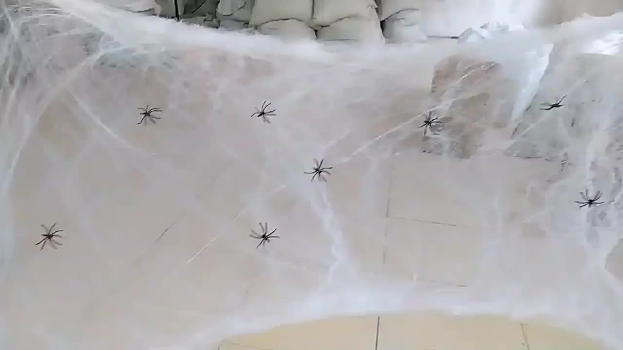 50/20 pz ragni finti artificiali ragnatela trucco scherzo giocattolo  bambini decorazioni di Halloween spaventoso scena